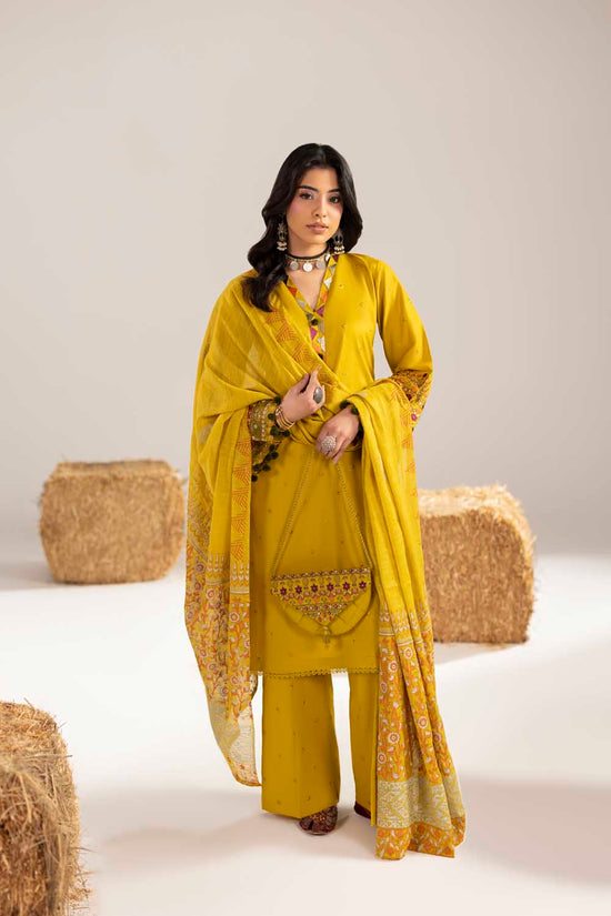 zahra rubab ZR-2611 | DHAANI